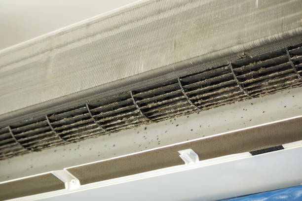 Best HVAC System Cleaning  in Elliston, VA